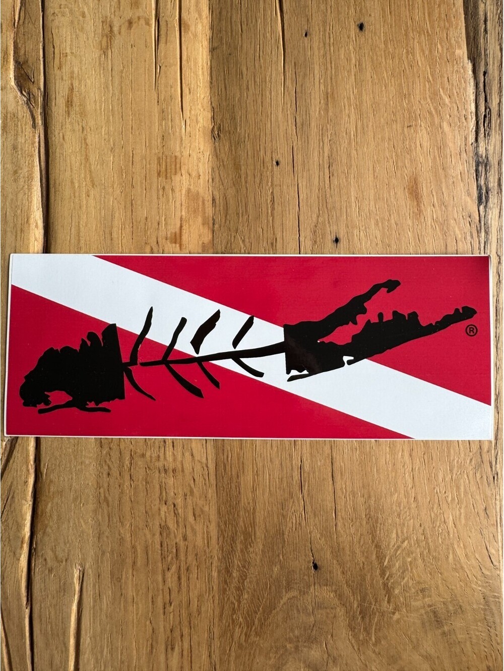 FISH Skeleton Sticker Carleton LI Montauk Long Island NY New York